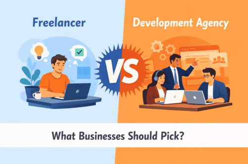 Freelancer vs Development Agency