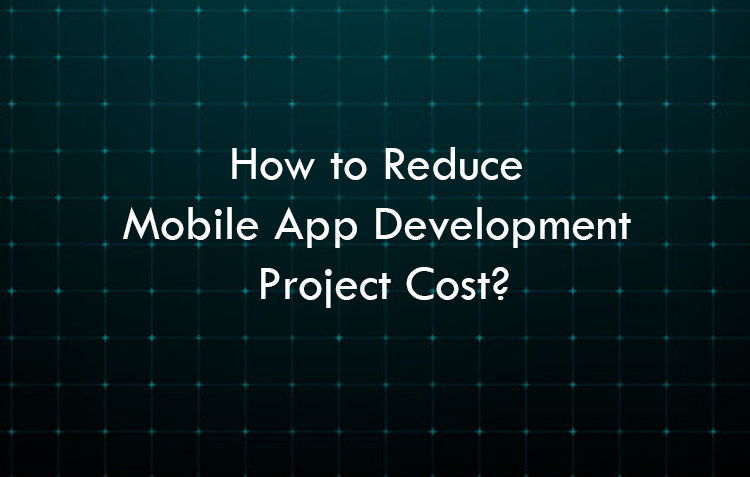 How to Reduce Mobile App Development Project Cost?