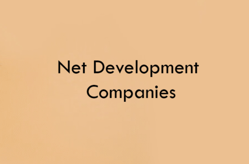 Net Development Companies 2026