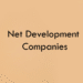 Net Development Companies 2026