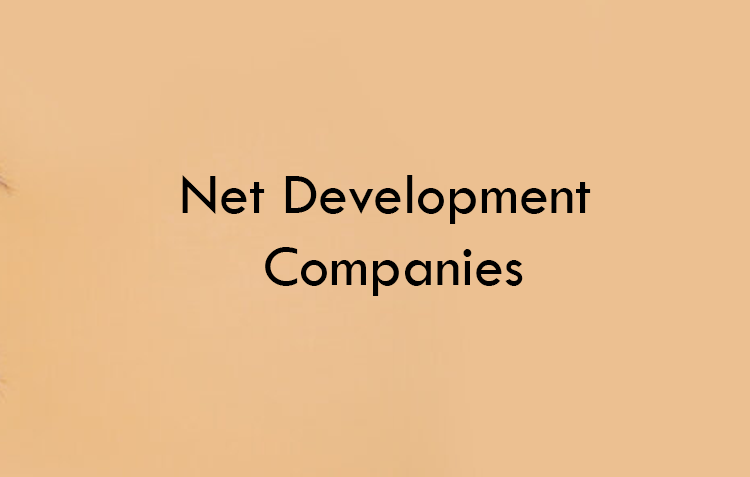 Net Development Companies 2026