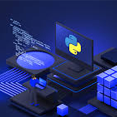 Python Development
