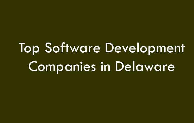 Top 10 Software Development Companies in Delaware