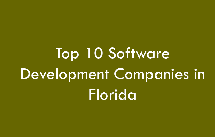 Top 10 Software Development Companies in Florida in 2026