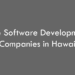 Top 10 Software Development Companies in Hawaii in 2026