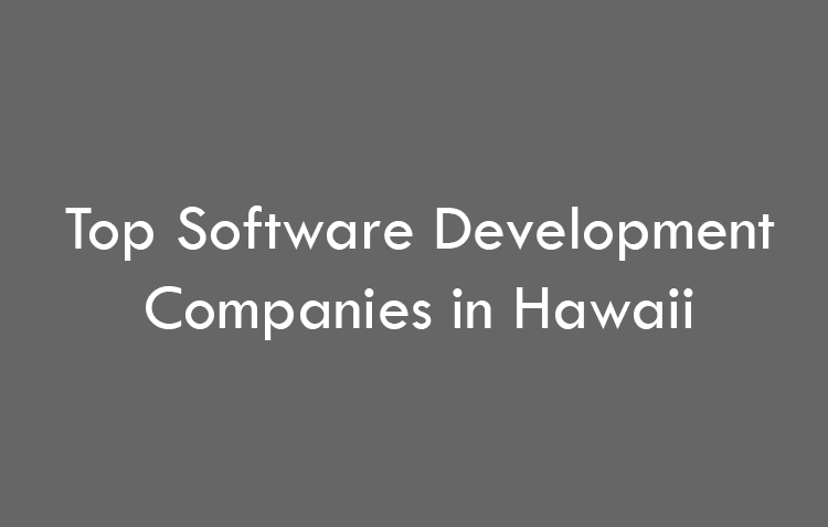 Top 10 Software Development Companies in Hawaii in 2026