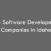 Top 10 Software Development Companies in Idaho in 2026