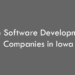 Top 10 Software Development Companies in Iowa in 2026