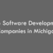 Top 10 Software Development Companies in Michigan in 2026