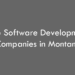 Top 10 Software Development Companies in Montana in 2026