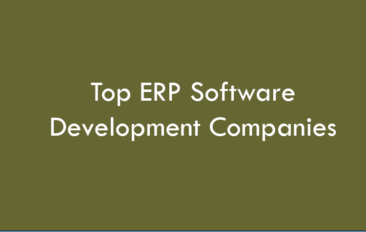 Top ERP software development companies 2026