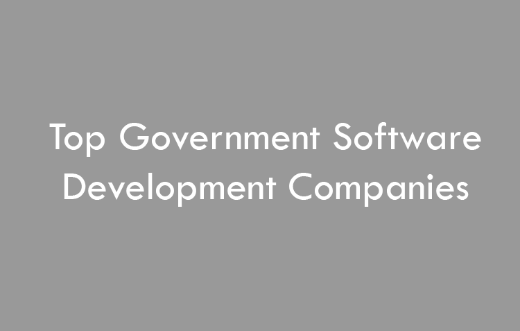 Top Government Software Development Companies
