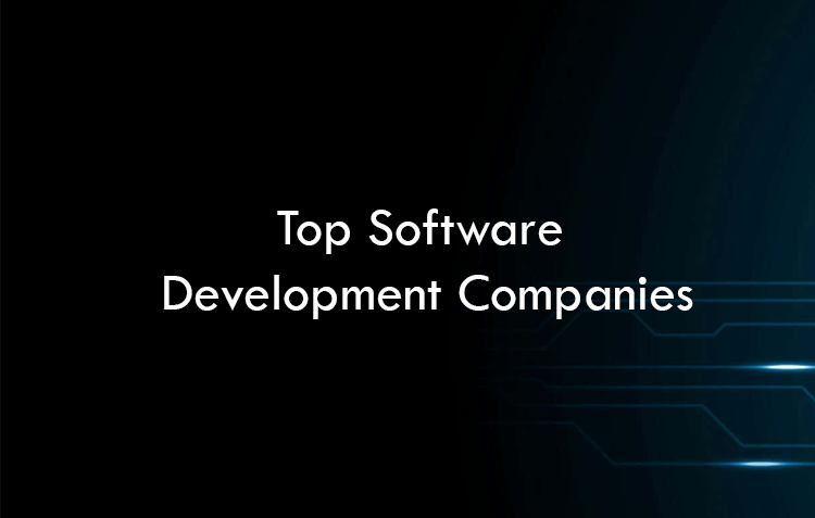 Top Software Development Companies 2026