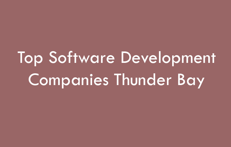Top Software Development Companies Thunder Bay in 2026