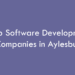 Top Software Development Companies in Aylesbury in 2026