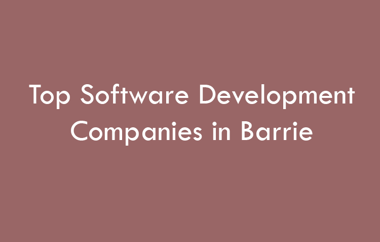 Top Software Development Companies in Barrie in 2026