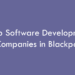 Top Software Development Companies in Blackpool in 2026