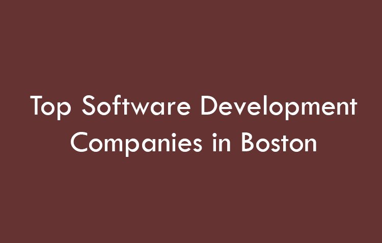 Top Software Development Companies in El Paso in 2026