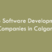 Top Software Development Companies in Calgary in 2026