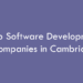 Top Software Development Companies in Cambridge in 2026