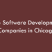 Top Software Development Companies in Chicago in 2026