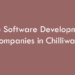 Top Software Development Companies in Chilliwack in 2026