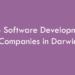 Top Software Development Companies in Darwin in 2026