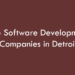 Top Software Development Companies in Detroit in 2026