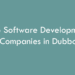 Top Software Development Companies in Dubbo in 2026