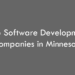 Top Software Development Companies in Minnesota