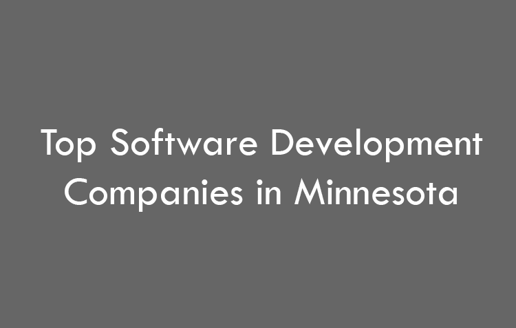 Top Software Development Companies in Minnesota