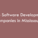 Top Software Development Companies in Mississauga in 2026