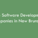 Top Software Development Companies in New Brunswick in 2026