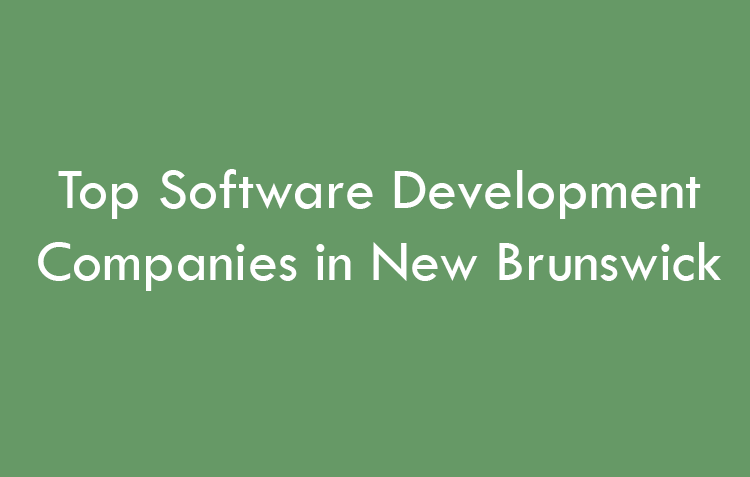 Top Software Development Companies in New Brunswick in 2026
