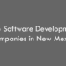 Top Software Development Companies in New Mexico in 2026