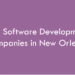 Top Software Development Companies in New Orleans in 2026