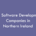 Top Software Development Companies in Northern Ireland in 2026