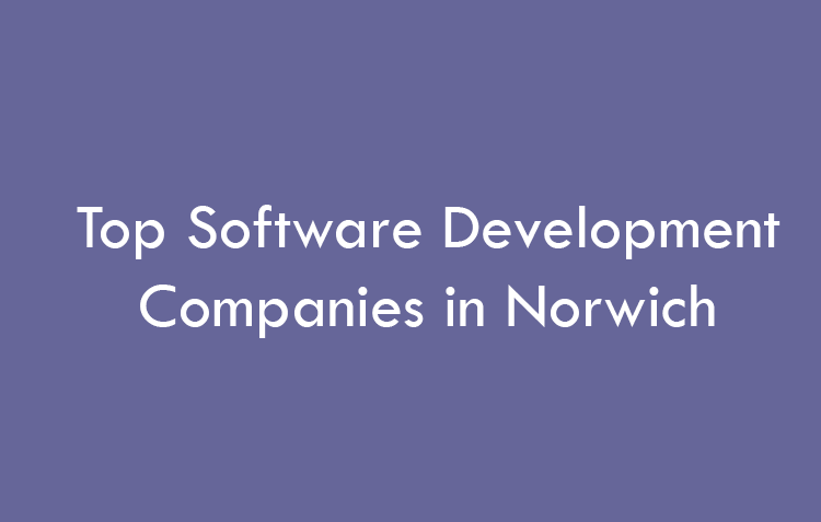 Top Software Development Companies in Norwich in 2026