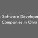 Top Software Development Companies in Ohio in 2026