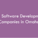 Top Software Development Companies in Omaha in 2026