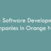 Top Software Development Companies in Orange NSW in 2026