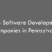 Top Software Development Companies in Pennsylvania in 2026