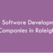 Top Software Development Companies in Raleigh in 2026