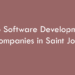 Top Software Development Companies in Saint John in 2026