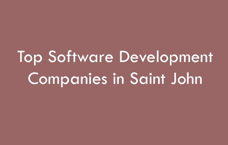 Top Software Development Companies in Saint John in 2026