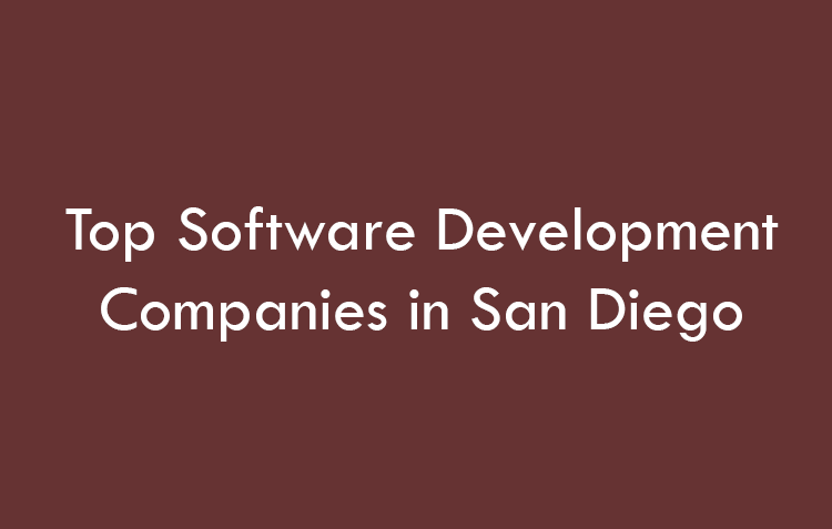 Top Software Development Companies in Dallas in 2026
