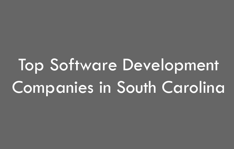 Top Software Development Companies in South Carolina in 2026