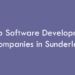 Top Software Development Companies in Sunderland in 2026