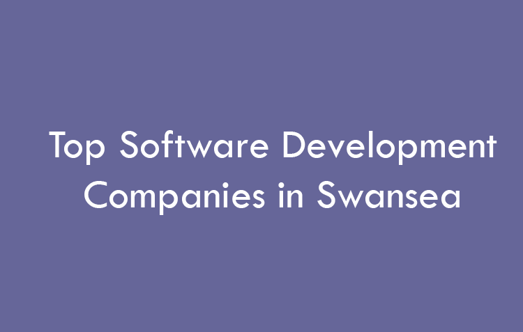 Top Software Development Companies in Swansea in 2026