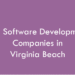 Top Software Development Companies in Virginia Beach in 2026